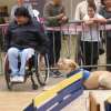 foire-haricots 2011-09-17et18